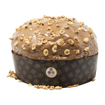 Panettone ricoperto Gianduia